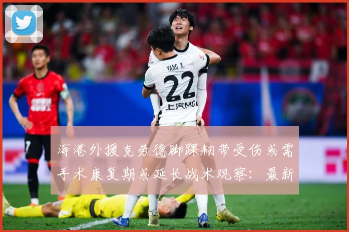 海港外援克劳德脚踝韧带受伤或需手术康复期或延长战术观察：最新赛事动态与深度分析